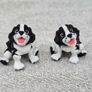 Springer Spaniel Dog Little