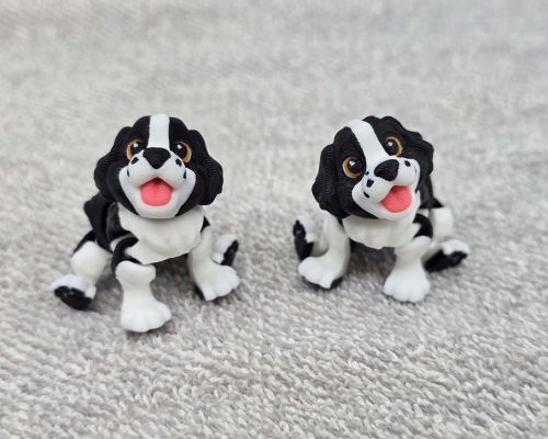 Springer Spaniel Dog Little