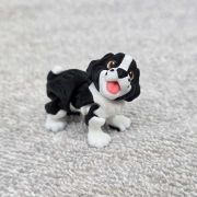 Springer Spaniel Dog Little