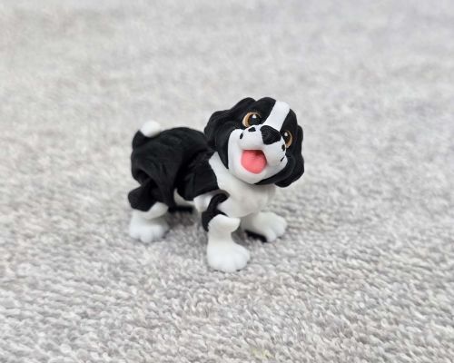 Springer Spaniel Dog Little