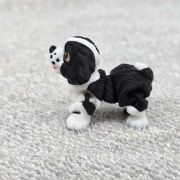 Springer Spaniel Dog Little