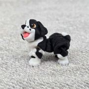 Springer Spaniel Dog Little