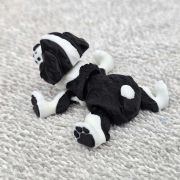 Springer Spaniel Dog Little