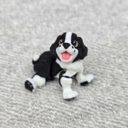 Springer Spaniel Dog Little