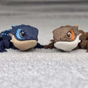 Crocodile Skink Medium