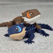 Crocodile Skink Medium