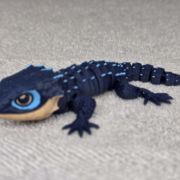 Crocodile Skink Medium