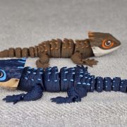 Crocodile Skink Medium