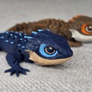 Crocodile Skink Medium