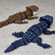 Crocodile Skink Medium