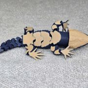 Crocodile Skink Medium