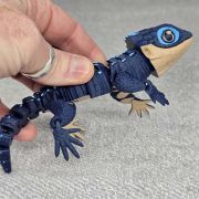 Crocodile Skink Medium
