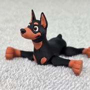 Doberman Pincher Dog Little