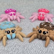 Donut Spider Little