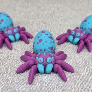 Spotted Egg Spider Little