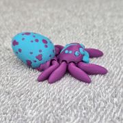 Spotted Egg Spider Little