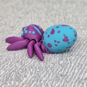 Spotted Egg Spider Little