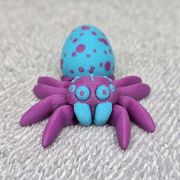Spotted Egg Spider Little