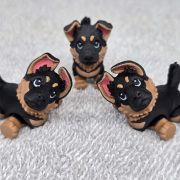 German Shepherd Puppy Dog Little