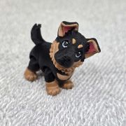 German Shepherd Puppy Dog Little