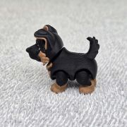 German Shepherd Puppy Dog Little