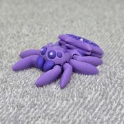 Snowflake Spider Little