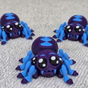 Tarantula Spider Little