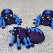 Tarantula Spider Little
