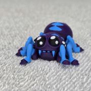 Tarantula Spider Little