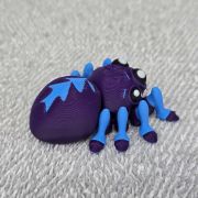 Tarantula Spider Little