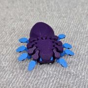 Tarantula Spider Little