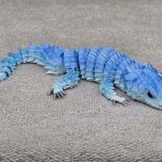Bearded Dragon Lizard