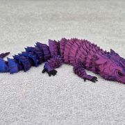 Bearded Dragon Lizard