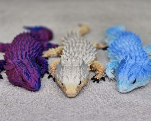 Bearded Dragon Lizard